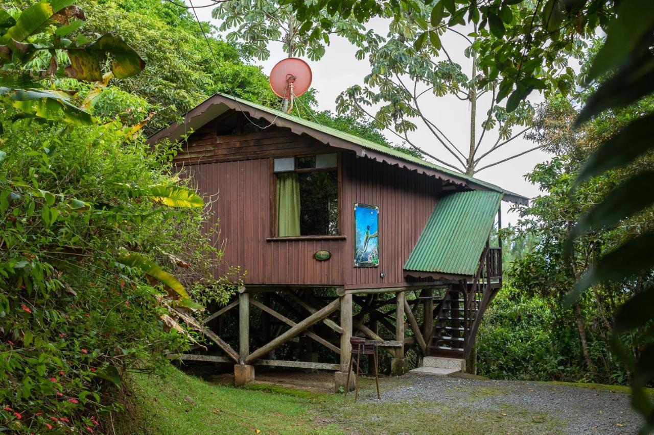 Cabanas El Bosque Turrialba Exterior foto