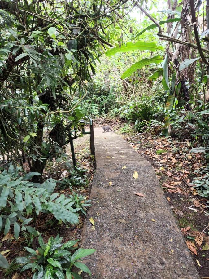 Cabanas El Bosque Turrialba Exterior foto